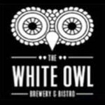 white owl